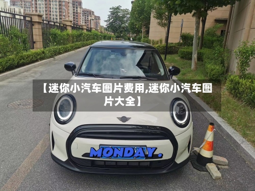 【迷你小汽车图片费用,迷你小汽车图片大全】-第2张图片