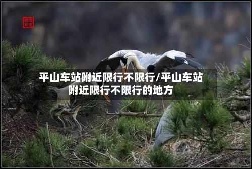 平山车站附近限行不限行/平山车站附近限行不限行的地方-第2张图片