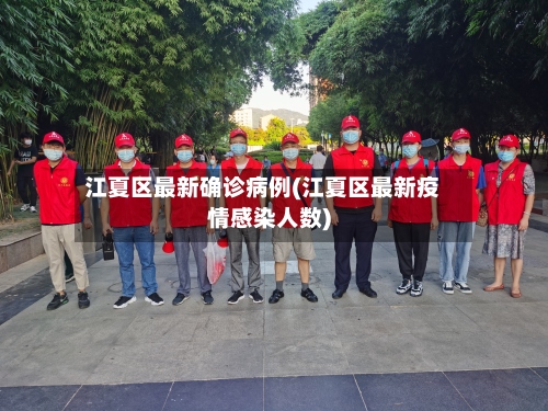 江夏区最新确诊病例(江夏区最新疫情感染人数)-第2张图片