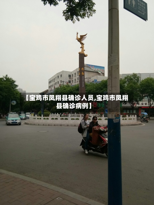 【宝鸡市凤翔县确诊人员,宝鸡市凤翔县确诊病例】-第2张图片