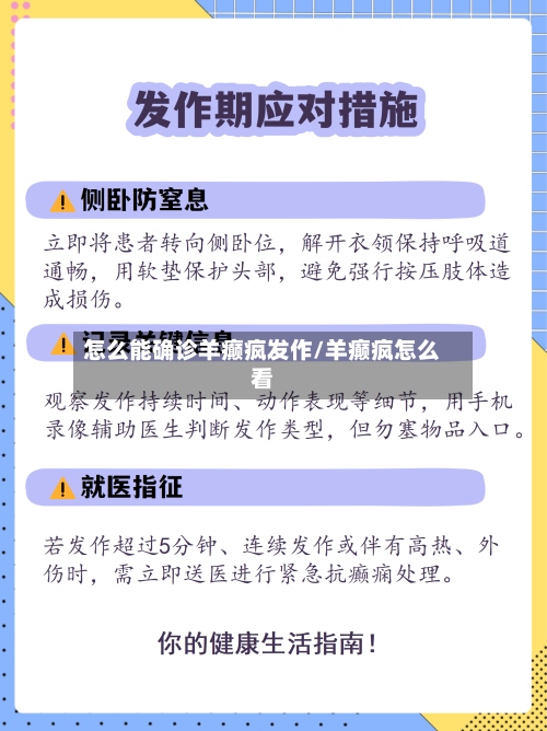 怎么能确诊羊癫疯发作/羊癫疯怎么看