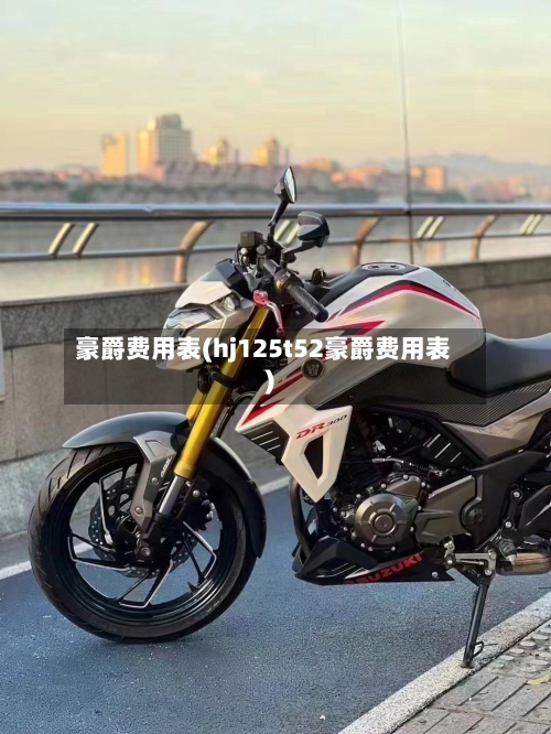 豪爵费用表(hj125t52豪爵费用表)-第2张图片