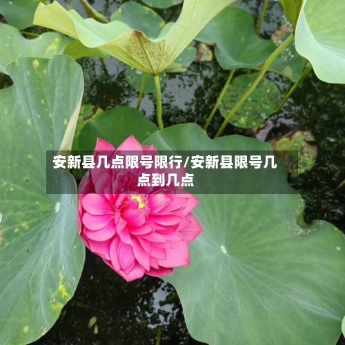 安新县几点限号限行/安新县限号几点到几点