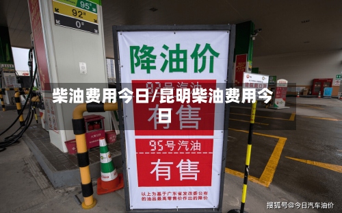 柴油费用今日/昆明柴油费用今日-第2张图片