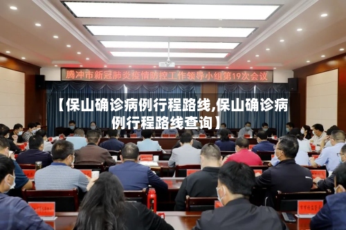 【保山确诊病例行程路线,保山确诊病例行程路线查询】