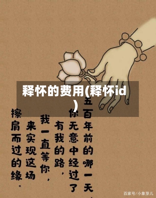 释怀的费用(释怀id)