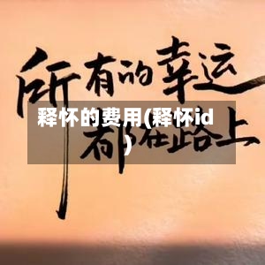 释怀的费用(释怀id)-第2张图片