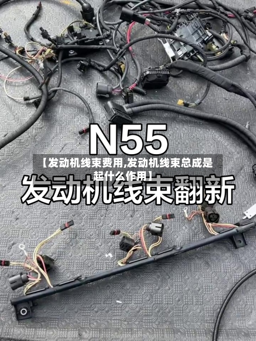 【发动机线束费用,发动机线束总成是起什么作用】