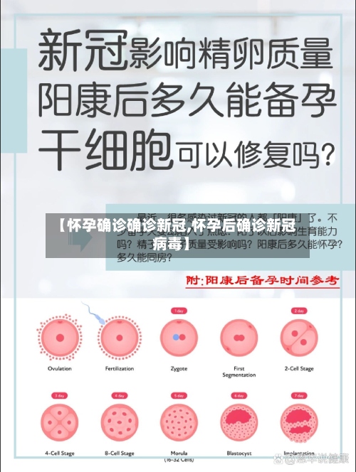 【怀孕确诊确诊新冠,怀孕后确诊新冠病毒】-第2张图片