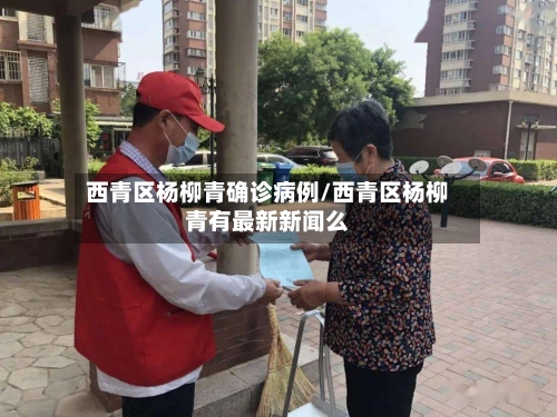 西青区杨柳青确诊病例/西青区杨柳青有最新新闻么-第2张图片