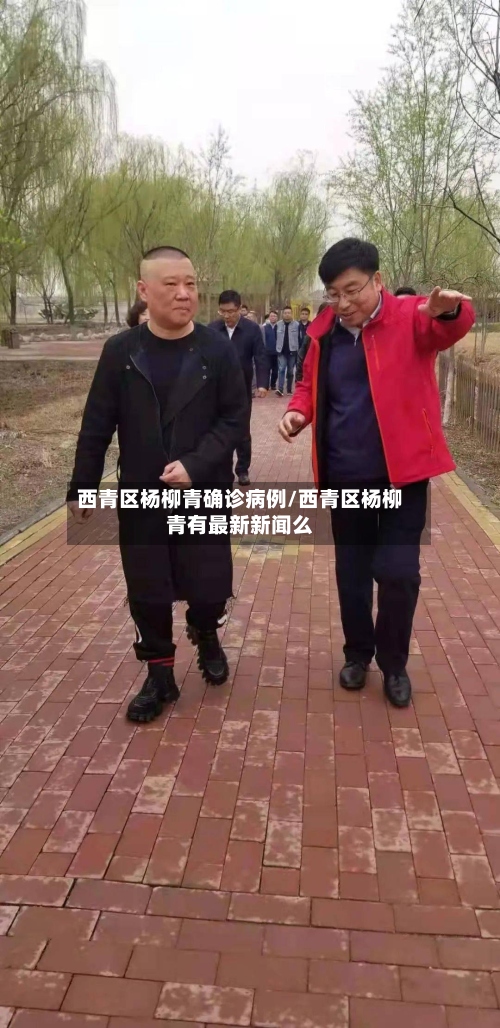 西青区杨柳青确诊病例/西青区杨柳青有最新新闻么-第3张图片