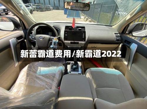 新蕾霸道费用/新霸道2022-第3张图片