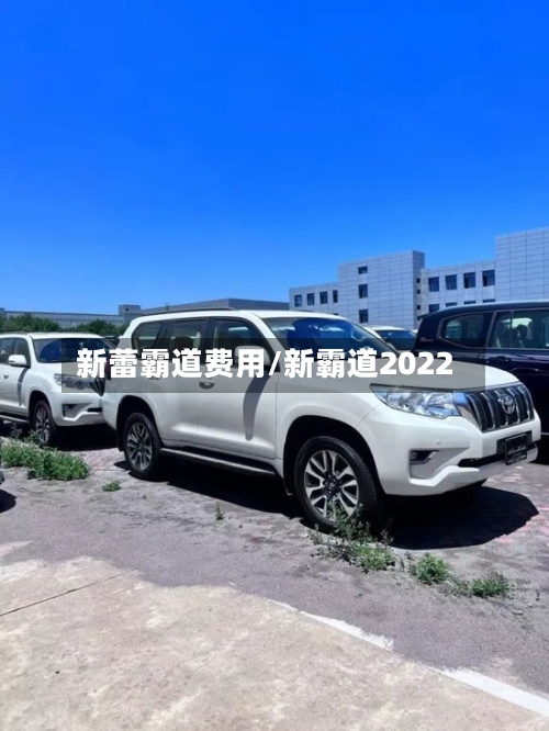新蕾霸道费用/新霸道2022