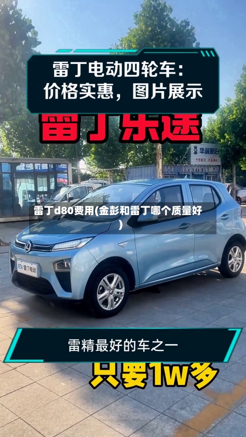 雷丁d80费用(金彭和雷丁哪个质量好)