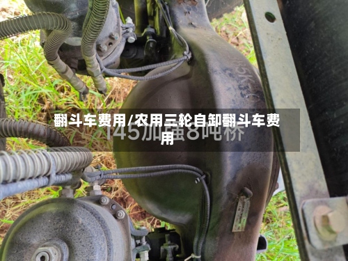 翻斗车费用/农用三轮自卸翻斗车费用-第2张图片