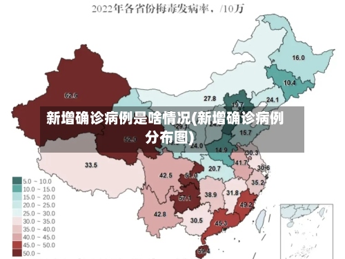 新增确诊病例是啥情况(新增确诊病例分布图)-第2张图片