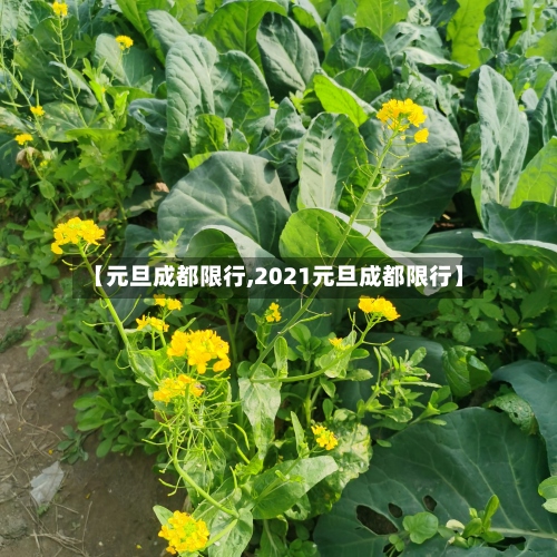 【元旦成都限行,2021元旦成都限行】