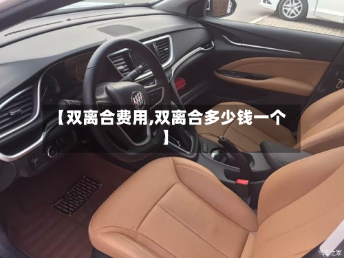 【双离合费用,双离合多少钱一个】-第2张图片