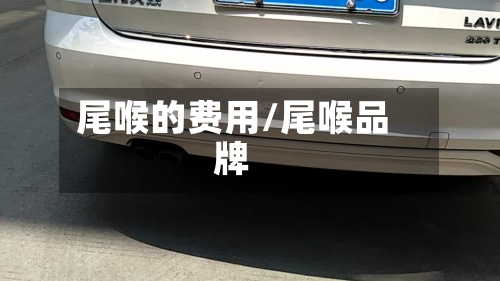 尾喉的费用/尾喉品牌