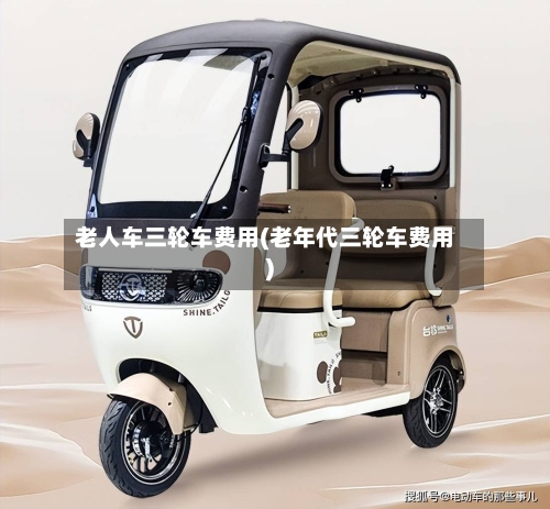 老人车三轮车费用(老年代三轮车费用)-第2张图片