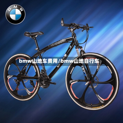 bmw山地车费用/bmw山地自行车