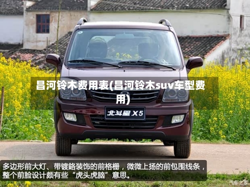 昌河铃木费用表(昌河铃木suv车型费用)-第2张图片