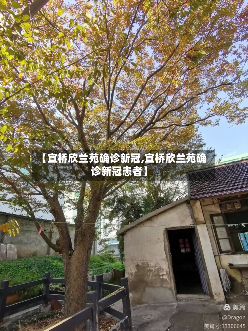 【宣桥欣兰苑确诊新冠,宣桥欣兰苑确诊新冠患者】