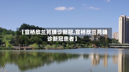 【宣桥欣兰苑确诊新冠,宣桥欣兰苑确诊新冠患者】-第2张图片