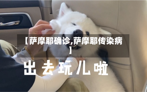 【萨摩耶确诊,萨摩耶传染病】