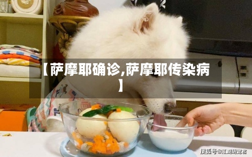 【萨摩耶确诊,萨摩耶传染病】-第2张图片
