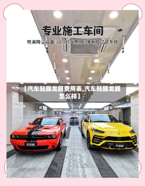 【汽车贴膜龙膜费用表,汽车贴膜龙膜怎么样】