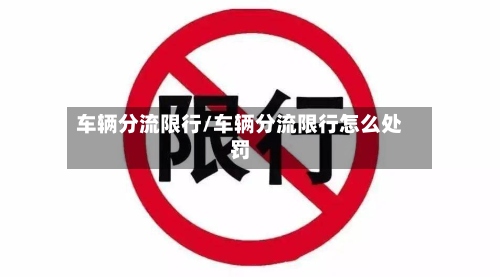车辆分流限行/车辆分流限行怎么处罚