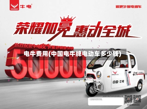 电牛费用(中国电牛牌电动车多少钱)