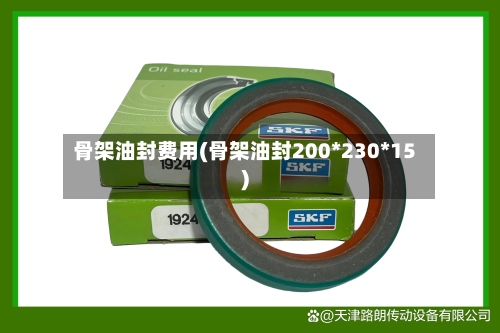 骨架油封费用(骨架油封200*230*15)-第2张图片