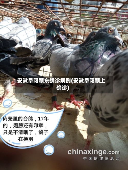 安徽阜阳颖东确诊病例(安徽阜阳颖上确诊)-第3张图片