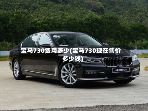 宝马730费用多少(宝马730现在售价多少钱)-第3张图片
