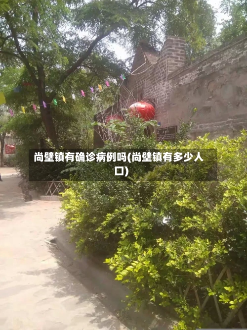 尚壁镇有确诊病例吗(尚壁镇有多少人口)-第2张图片