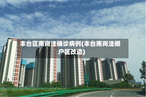 丰台区南岗洼确诊病例(丰台南岗洼棚户区改造)-第2张图片