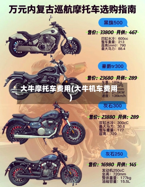 大牛摩托车费用(大牛机车费用)