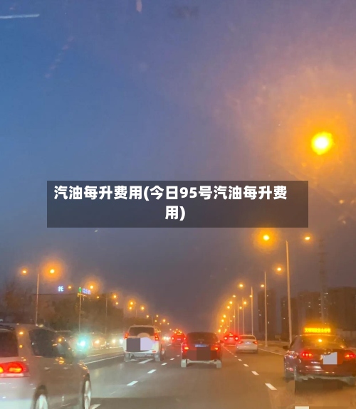 汽油每升费用(今日95号汽油每升费用)-第2张图片