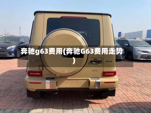 奔驰g63费用(奔驰G63费用走势)-第3张图片