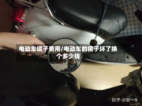 电动车镜子费用/电动车的镜子坏了换个多少钱