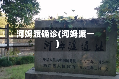 河姆渡确诊(河姆渡一)