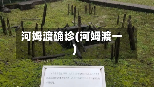 河姆渡确诊(河姆渡一)-第3张图片