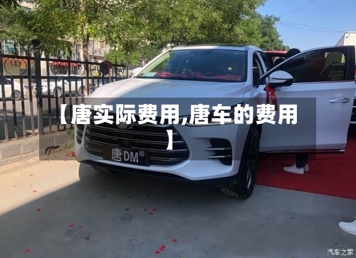 【唐实际费用,唐车的费用】-第3张图片