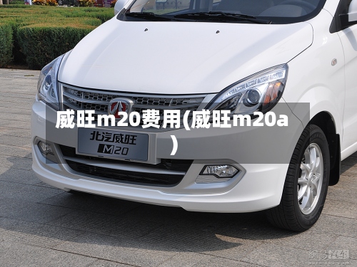 威旺m20费用(威旺m20a)