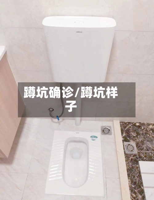 蹲坑确诊/蹲坑样子