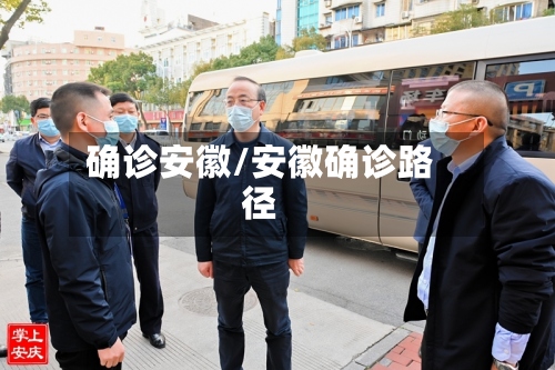 确诊安徽/安徽确诊路径