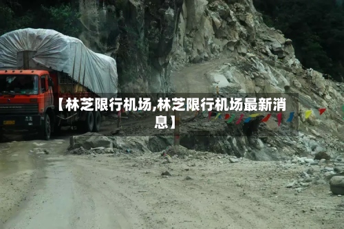 【林芝限行机场,林芝限行机场最新消息】-第2张图片