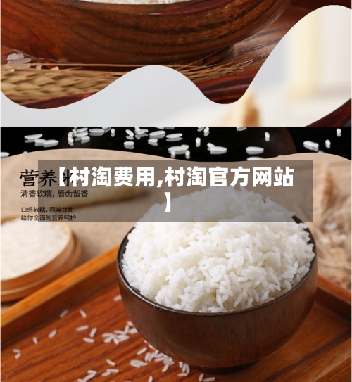 【村淘费用,村淘官方网站】-第2张图片